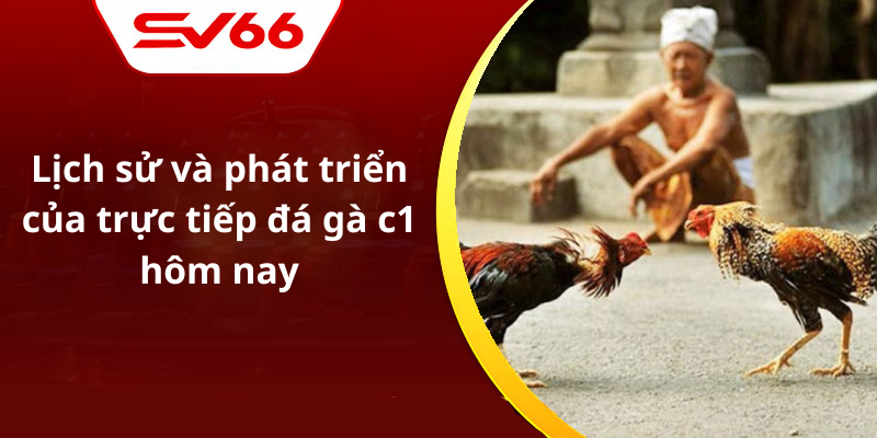 Lịch sử và phát triển của trực tiếp đá gà c1 hôm nay
