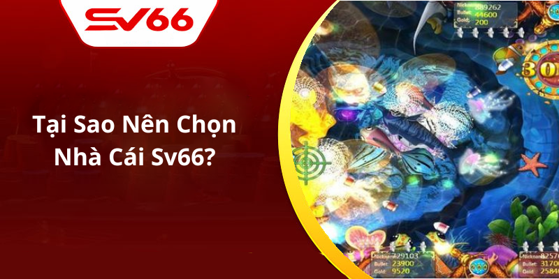 Tại Sao Nên Chọn Nhà Cái Sv66