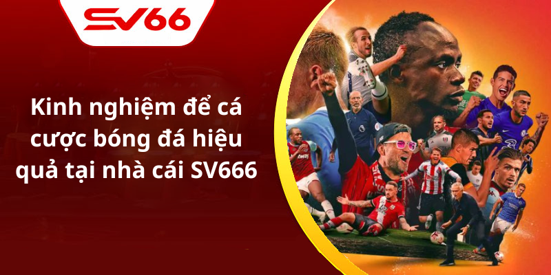 Kinh nghiệm để cá cược bóng đá hiệu quả tại nhà cái SV666