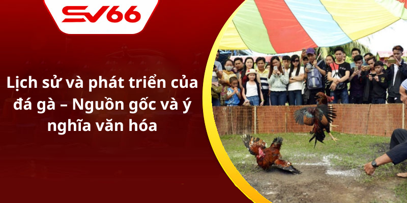 Lịch sử và phát triển của đá gà – Nguồn gốc và ý nghĩa văn hóa