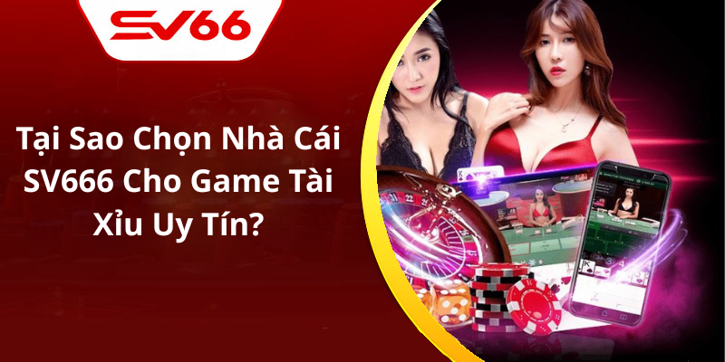Tại Sao Chọn Nhà Cái SV666 Cho Game Tài Xỉu Uy Tín