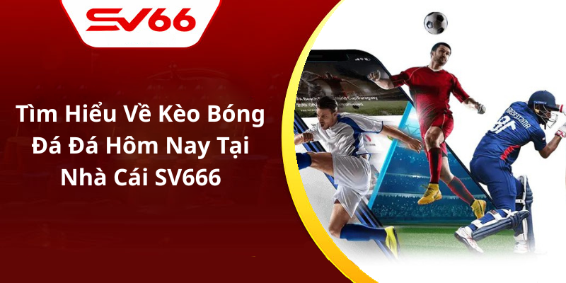 Tìm Hiểu Về Kèo Bóng Đá Đá Hôm Nay Tại Nhà Cái SV666
