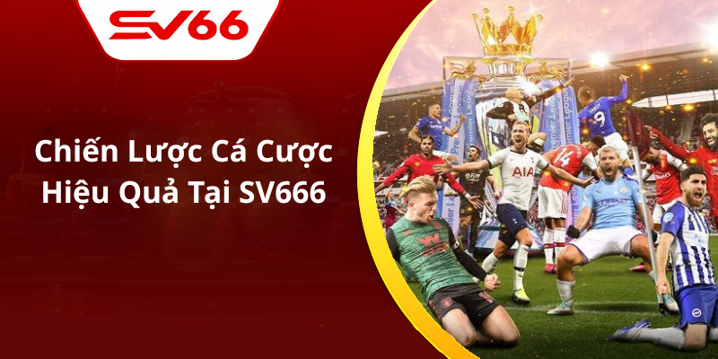 Chiến Lược Cá Cược Hiệu Quả Tại SV666